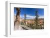 View of hoodoo formations from the Fairyland Trail in Bryce Canyon National Park, Utah, United Stat-Michael Nolan-Framed Photographic Print