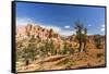 View of hoodoo formations from the Fairyland Trail in Bryce Canyon National Park, Utah, United Stat-Michael Nolan-Framed Stretched Canvas