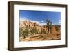 View of hoodoo formations from the Fairyland Trail in Bryce Canyon National Park, Utah, United Stat-Michael Nolan-Framed Photographic Print