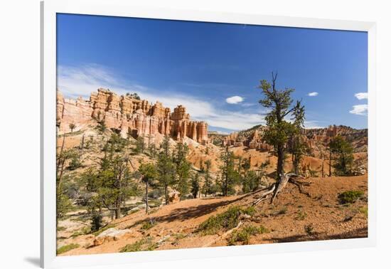 View of hoodoo formations from the Fairyland Trail in Bryce Canyon National Park, Utah, United Stat-Michael Nolan-Framed Photographic Print