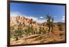 View of hoodoo formations from the Fairyland Trail in Bryce Canyon National Park, Utah, United Stat-Michael Nolan-Framed Photographic Print