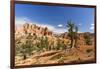 View of hoodoo formations from the Fairyland Trail in Bryce Canyon National Park, Utah, United Stat-Michael Nolan-Framed Photographic Print