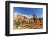 View of hoodoo formations from the Fairyland Trail in Bryce Canyon National Park, Utah, United Stat-Michael Nolan-Framed Premium Photographic Print