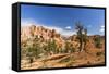 View of hoodoo formations from the Fairyland Trail in Bryce Canyon National Park, Utah, United Stat-Michael Nolan-Framed Stretched Canvas