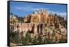 View of hoodoo formations from the Fairyland Trail in Bryce Canyon National Park, Utah, United Stat-Michael Nolan-Framed Stretched Canvas