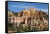 View of hoodoo formations from the Fairyland Trail in Bryce Canyon National Park, Utah, United Stat-Michael Nolan-Framed Stretched Canvas