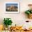 View of hoodoo formations from the Fairyland Trail in Bryce Canyon National Park, Utah, United Stat-Michael Nolan-Framed Photographic Print displayed on a wall