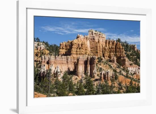 View of hoodoo formations from the Fairyland Trail in Bryce Canyon National Park, Utah, United Stat-Michael Nolan-Framed Photographic Print