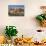 View of hoodoo formations from the Fairyland Trail in Bryce Canyon National Park, Utah, United Stat-Michael Nolan-Mounted Photographic Print displayed on a wall