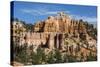 View of hoodoo formations from the Fairyland Trail in Bryce Canyon National Park, Utah, United Stat-Michael Nolan-Stretched Canvas