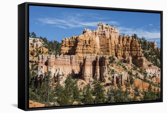 View of hoodoo formations from the Fairyland Trail in Bryce Canyon National Park, Utah, United Stat-Michael Nolan-Framed Stretched Canvas