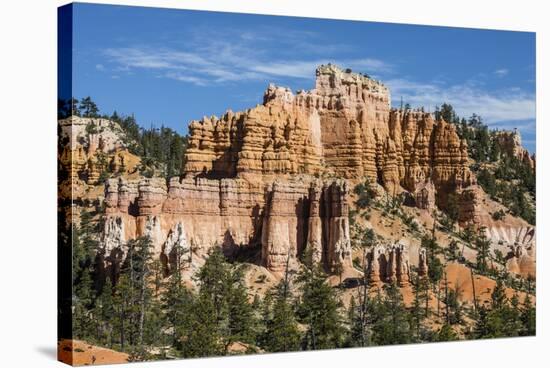 View of hoodoo formations from the Fairyland Trail in Bryce Canyon National Park, Utah, United Stat-Michael Nolan-Stretched Canvas