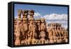 View of hoodoo formations from the Navajo Loop Trail in Bryce Canyon National Park, Utah, United St-Michael Nolan-Framed Stretched Canvas