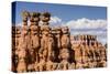 View of hoodoo formations from the Navajo Loop Trail in Bryce Canyon National Park, Utah, United St-Michael Nolan-Stretched Canvas