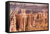 View of hoodoo formations from the Navajo Loop Trail in Bryce Canyon National Park, Utah, United St-Michael Nolan-Framed Stretched Canvas