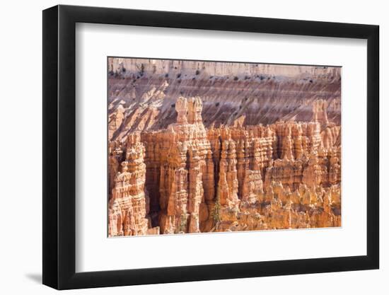 View of hoodoo formations from the Navajo Loop Trail in Bryce Canyon National Park, Utah, United St-Michael Nolan-Framed Photographic Print