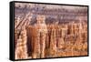 View of hoodoo formations from the Navajo Loop Trail in Bryce Canyon National Park, Utah, United St-Michael Nolan-Framed Stretched Canvas