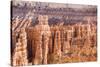 View of hoodoo formations from the Navajo Loop Trail in Bryce Canyon National Park, Utah, United St-Michael Nolan-Stretched Canvas