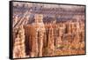 View of hoodoo formations from the Navajo Loop Trail in Bryce Canyon National Park, Utah, United St-Michael Nolan-Framed Stretched Canvas