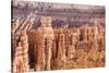 View of hoodoo formations from the Navajo Loop Trail in Bryce Canyon National Park, Utah, United St-Michael Nolan-Stretched Canvas