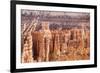 View of hoodoo formations from the Navajo Loop Trail in Bryce Canyon National Park, Utah, United St-Michael Nolan-Framed Photographic Print