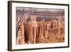 View of hoodoo formations from the Navajo Loop Trail in Bryce Canyon National Park, Utah, United St-Michael Nolan-Framed Photographic Print