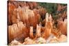 View of hoodoos and cliffs at dawn, rock erosion in natural amphitheatre, Bryce Canyon-Martin Withers-Stretched Canvas