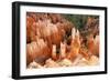 View of hoodoos and cliffs at dawn, rock erosion in natural amphitheatre, Bryce Canyon-Martin Withers-Framed Photographic Print