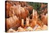 View of hoodoos and cliffs at dawn, rock erosion in natural amphitheatre, Bryce Canyon-Martin Withers-Stretched Canvas