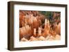 View of hoodoos and cliffs at dawn, rock erosion in natural amphitheatre, Bryce Canyon-Martin Withers-Framed Photographic Print