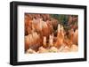 View of hoodoos and cliffs at dawn, rock erosion in natural amphitheatre, Bryce Canyon-Martin Withers-Framed Photographic Print