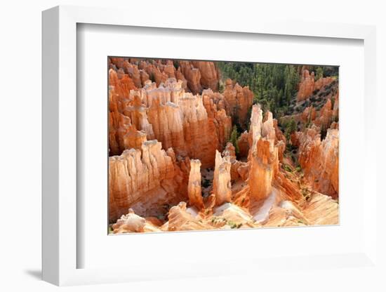 View of hoodoos and cliffs at dawn, rock erosion in natural amphitheatre, Bryce Canyon-Martin Withers-Framed Photographic Print