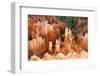 View of hoodoos and cliffs at dawn, rock erosion in natural amphitheatre, Bryce Canyon-Martin Withers-Framed Photographic Print