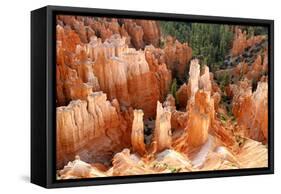 View of hoodoos and cliffs at dawn, rock erosion in natural amphitheatre, Bryce Canyon-Martin Withers-Framed Stretched Canvas