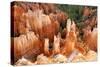 View of hoodoos and cliffs at dawn, rock erosion in natural amphitheatre, Bryce Canyon-Martin Withers-Stretched Canvas