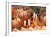 View of hoodoos and cliffs at dawn, rock erosion in natural amphitheatre, Bryce Canyon-Martin Withers-Framed Photographic Print