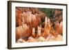 View of hoodoos and cliffs at dawn, rock erosion in natural amphitheatre, Bryce Canyon-Martin Withers-Framed Photographic Print