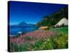 View of Hotel Grounds and Lake, Hotel Atitlan, Lake Atitlan, Guatemala-Alison Jones-Stretched Canvas