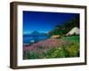 View of Hotel Grounds and Lake, Hotel Atitlan, Lake Atitlan, Guatemala-Alison Jones-Framed Photographic Print