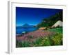 View of Hotel Grounds and Lake, Hotel Atitlan, Lake Atitlan, Guatemala-Alison Jones-Framed Photographic Print