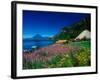 View of Hotel Grounds and Lake, Hotel Atitlan, Lake Atitlan, Guatemala-Alison Jones-Framed Photographic Print