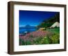 View of Hotel Grounds and Lake, Hotel Atitlan, Lake Atitlan, Guatemala-Alison Jones-Framed Photographic Print