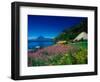 View of Hotel Grounds and Lake, Hotel Atitlan, Lake Atitlan, Guatemala-Alison Jones-Framed Photographic Print