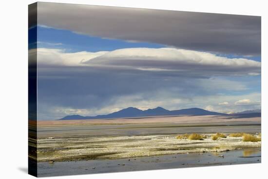 View of hotsprings and saltlake habitat, Atacama Desert, Bolivia-Ben Sadd-Stretched Canvas