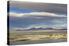 View of hotsprings and saltlake habitat, Atacama Desert, Bolivia-Ben Sadd-Stretched Canvas