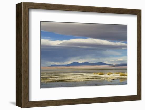 View of hotsprings and saltlake habitat, Atacama Desert, Bolivia-Ben Sadd-Framed Photographic Print