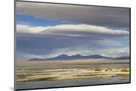 View of hotsprings and saltlake habitat, Atacama Desert, Bolivia-Ben Sadd-Mounted Photographic Print