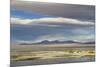 View of hotsprings and saltlake habitat, Atacama Desert, Bolivia-Ben Sadd-Mounted Photographic Print