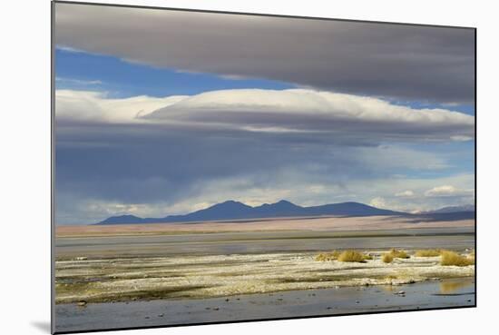 View of hotsprings and saltlake habitat, Atacama Desert, Bolivia-Ben Sadd-Mounted Photographic Print