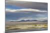 View of hotsprings and saltlake habitat, Atacama Desert, Bolivia-Ben Sadd-Mounted Photographic Print